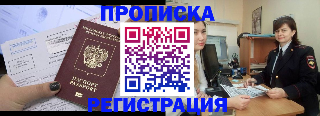 прописка гарантия в Апатитах